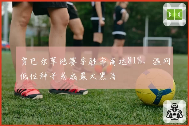 贾巴尔草地赛季胜率高达81%，温网低位种子或成最大黑马