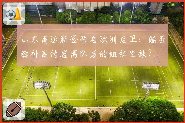 山东高速新签两名欧洲后卫，能否弥补高诗岩离队后的组织空缺？