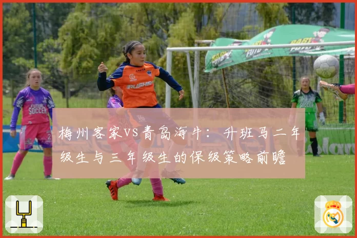 梅州客家vs青岛海牛:升班马二年级生与三年级生的保级策略前瞻