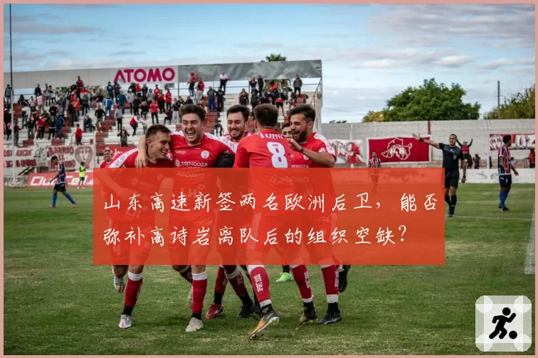 山东高速新签两名欧洲后卫，能否弥补高诗岩离队后的组织空缺？