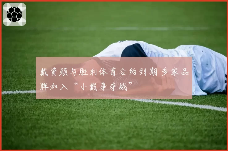戴资颖与胜利体育合约到期 多家品牌加入“小戴争夺战”
